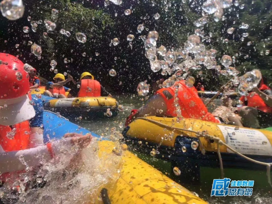 香港二四六资料免费大全