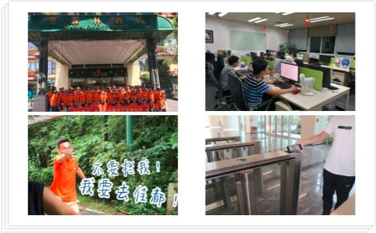 香港二四六资料免费大全