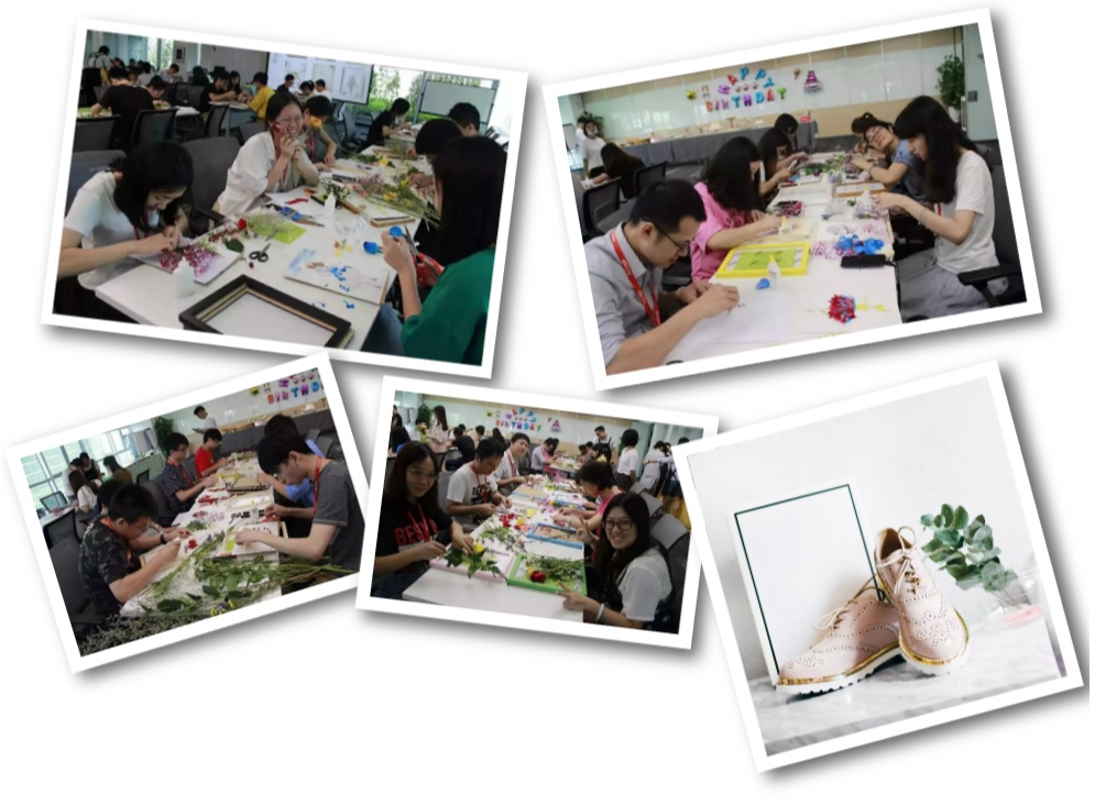 香港二四六资料免费大全